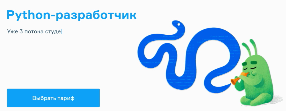 Питон разработчик