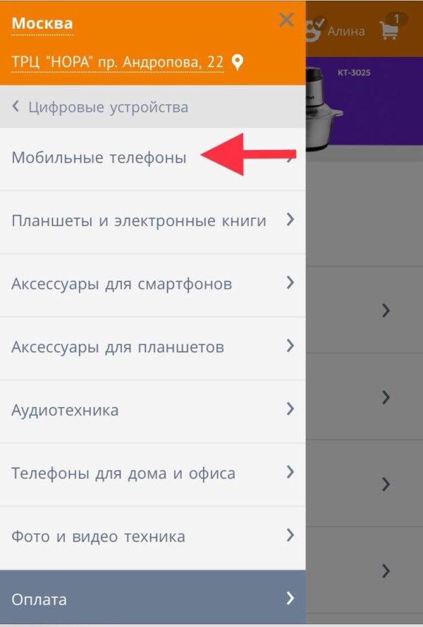 Как пользоваться RBT.ru через мобильное устройство. Поиск товара через каталог3
