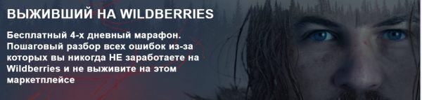 «Выживший на Wildberries»  от Романа Хоснуллина