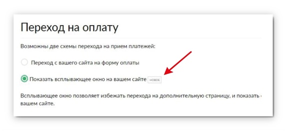 Как работать на Glopart. Для продавца. #4. Работа с формами оплаты. Всплывающая форма оплаты2