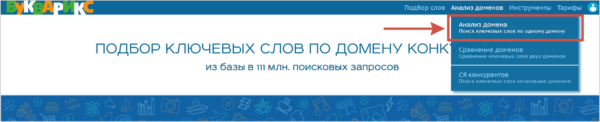 Как работать на Букварикс. #2. Сервисы по настройке анализа. а) Поиск по одному домену